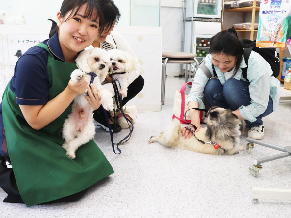 卒業生が里親犬と遊びに来てくれました☆